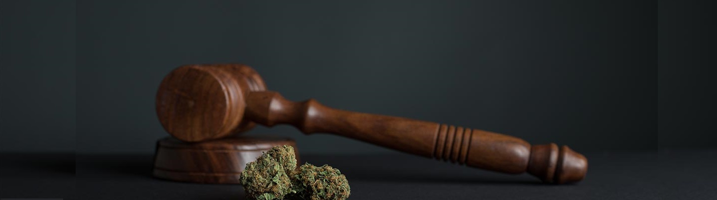marijuana_and_gavel.jpg
